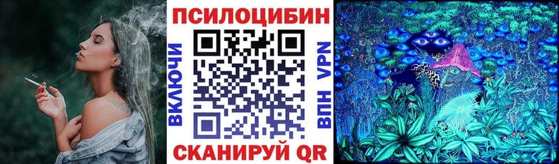 Галлюциногенные грибы Psilocybe  Бокситогорск 