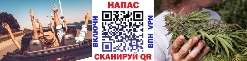 omg как войти  Бокситогорск  Шишки марихуана сатива 